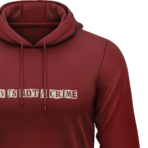 FPV Is Not A Crime Hoodie