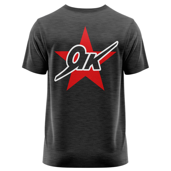 Yak Star Shirt für Modellflieger – Anthrazit, Rückseite