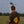Caution low flying aircraft Shirt (C) Shirt RC-WEAR