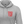 Remove Before Flight Hoodie