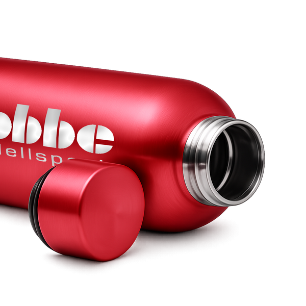 Robbe Thermos Flask (550ml)